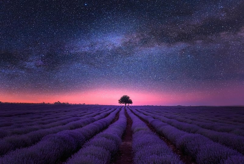 Dreamy Galaxy